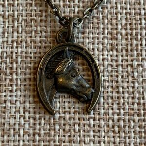 Horse Head horseshoe Necklace 18” One of a kind